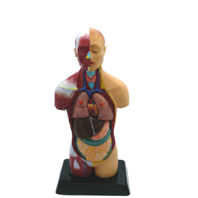 pezeshkibazar.com